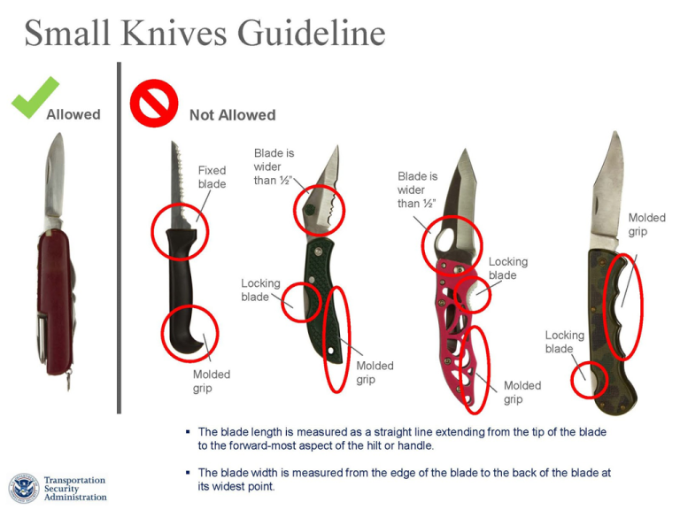 Can You Bring a Pocket Knife on a Cruise