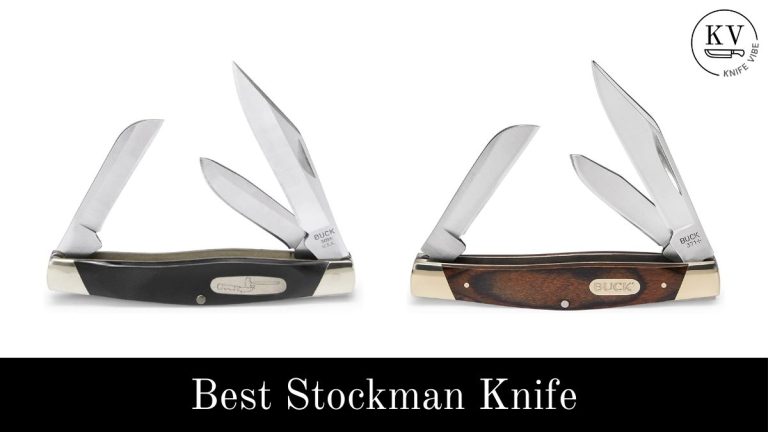 Best Stockman Knife