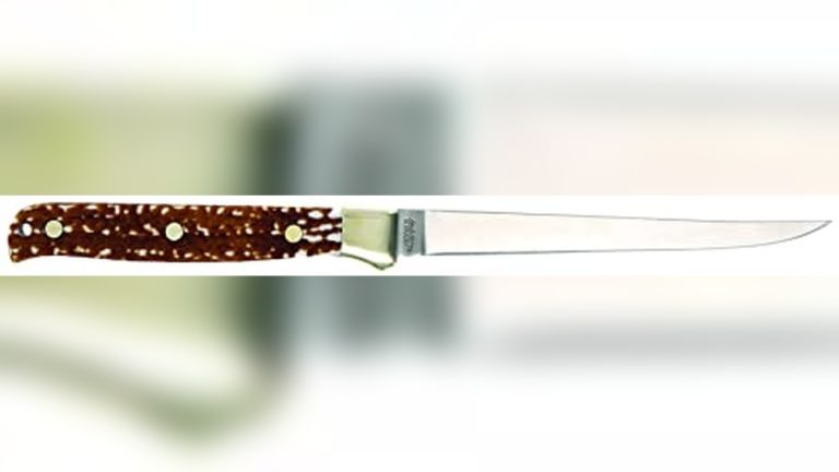 Best Fillet Knife for Walleye