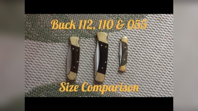 Buck 55 Vs 110