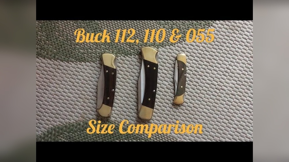 Buck 55 Vs 110