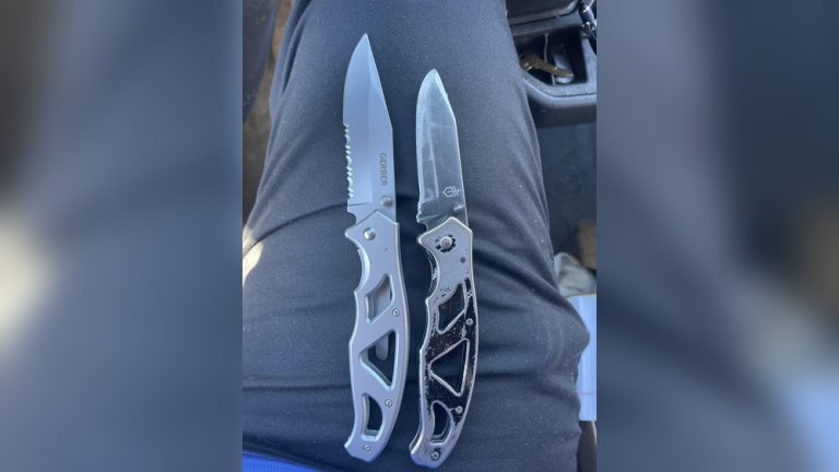 Gerber Paraframe 1 Vs 2