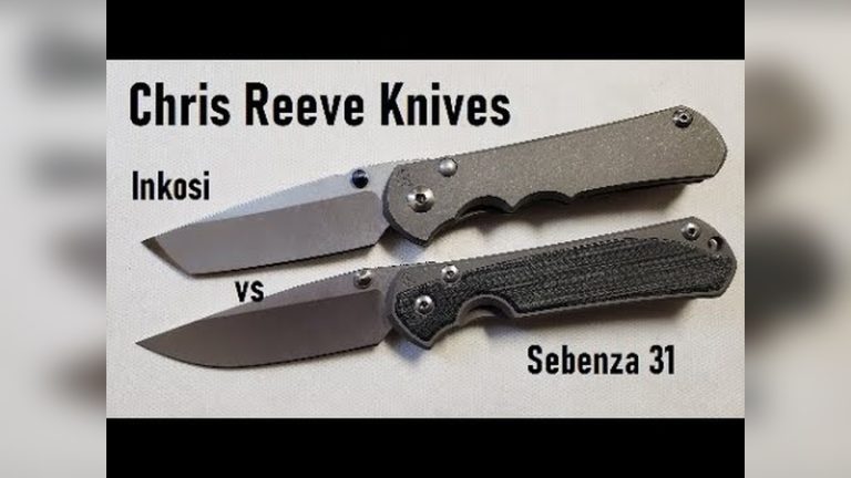 Inkosi Vs Sebenza